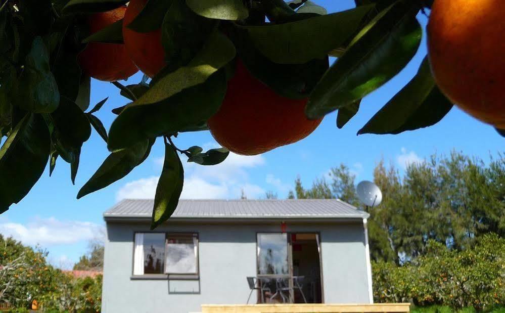 Relax A Lodge Kerikeri Exterior foto